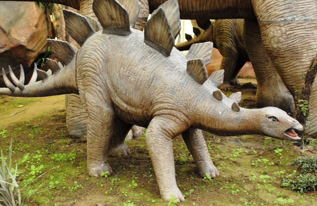A che servivano le piastre sulla schiena dello stegosauro?