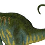 Come usavano la coda i dinosauri?