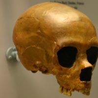 Quando si sono estinti i Neanderthal?