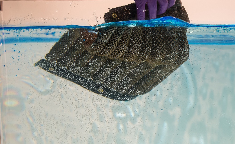 La spugna in grado di pulire il mare: Oleo sponge