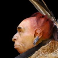 È vero che i Neanderthal si adornavano di penne e piume?