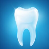 I denti potranno ricrescere?